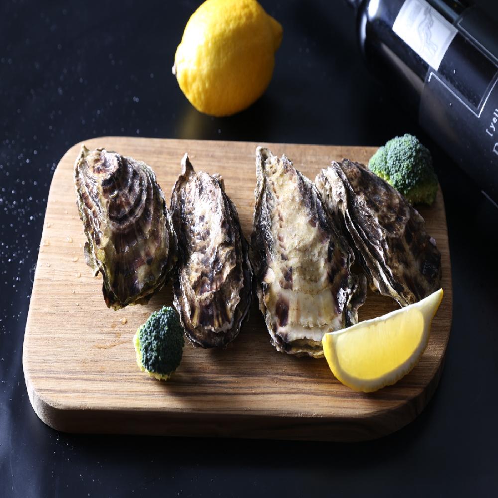 Live Oyster